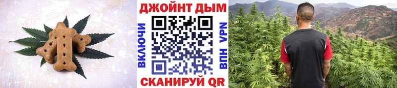 Cannafood конопля  Купить  Ступино 