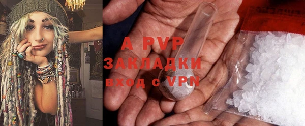 ПСИЛОЦИБИНОВЫЕ ГРИБЫ Балахна