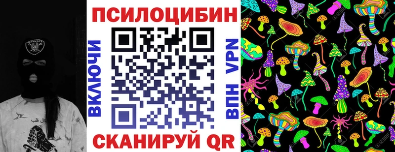Купить где  Ступино  Псилоцибиновые грибы MAGIC MUSHROOMS 